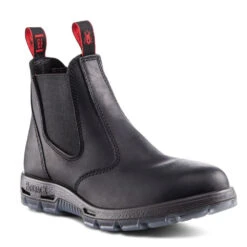 Redback Bobcat In Black